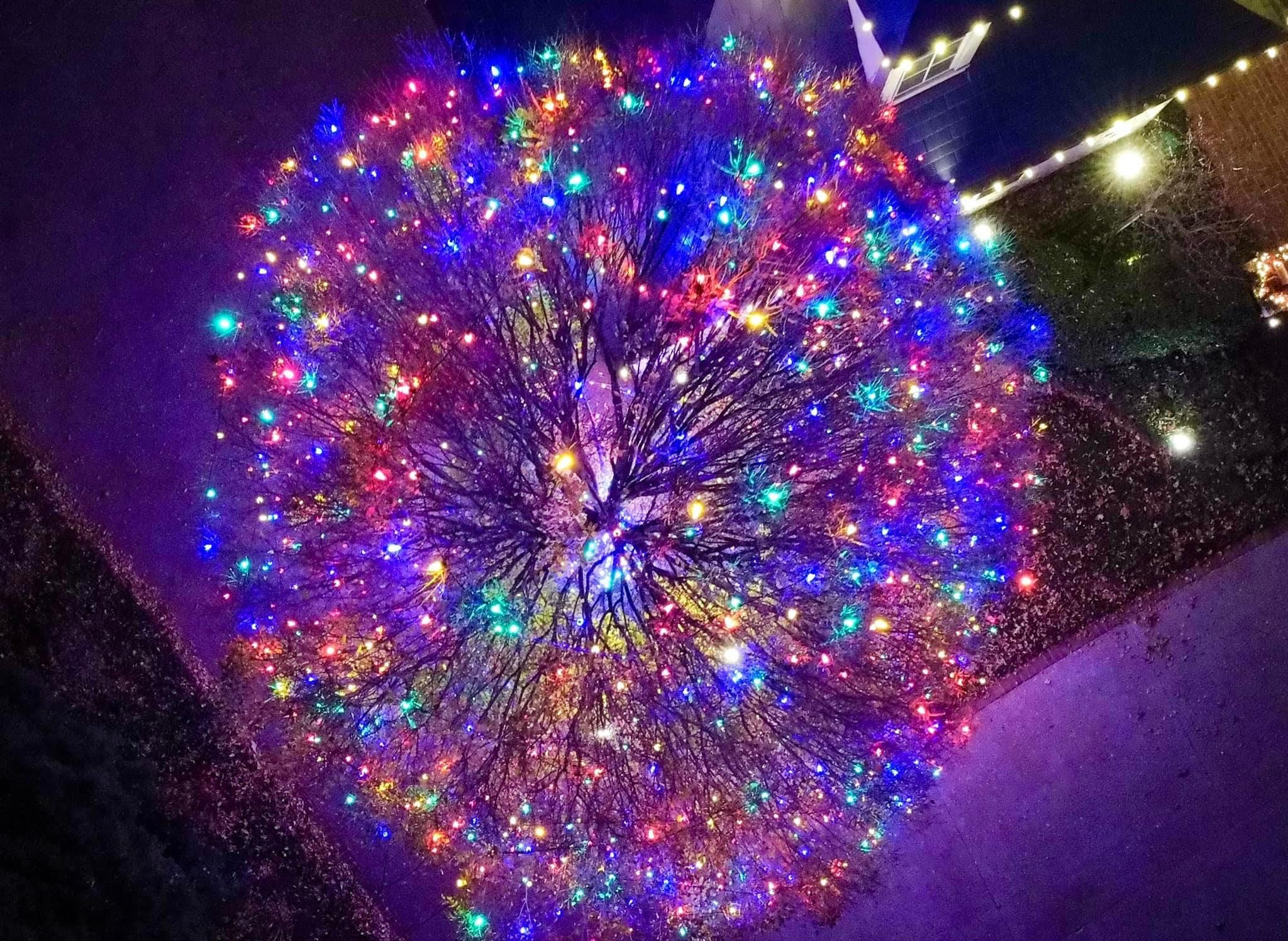 Stunning photo from above of multi coloured Christmas lights installed on big tree