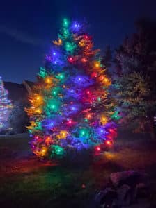 Big tree decorated with multicolour Christmas Lights