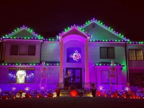 Green and Purple lights + Lawn Decorations on beautiful home